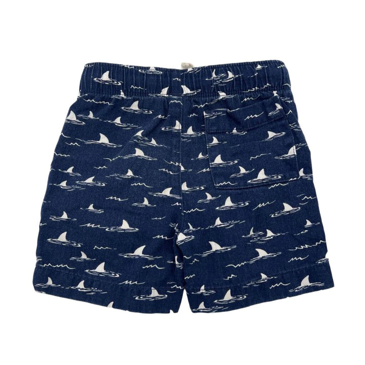 Drawstring Waist Shorts / Shark Fin