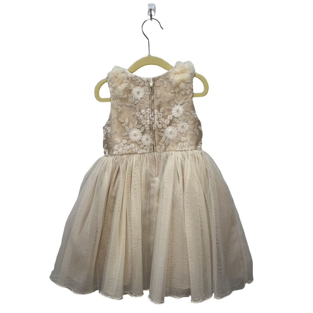 Party Dress