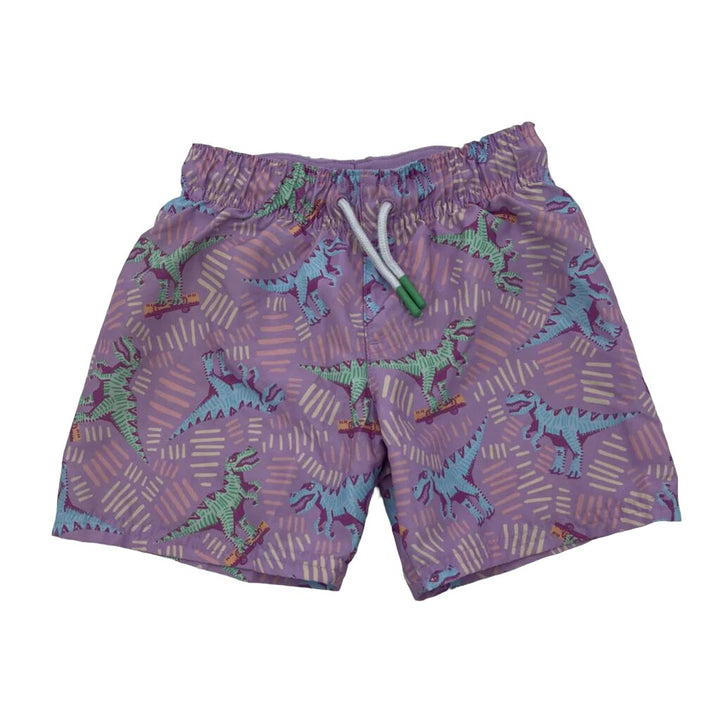 Dino Swim Trunks