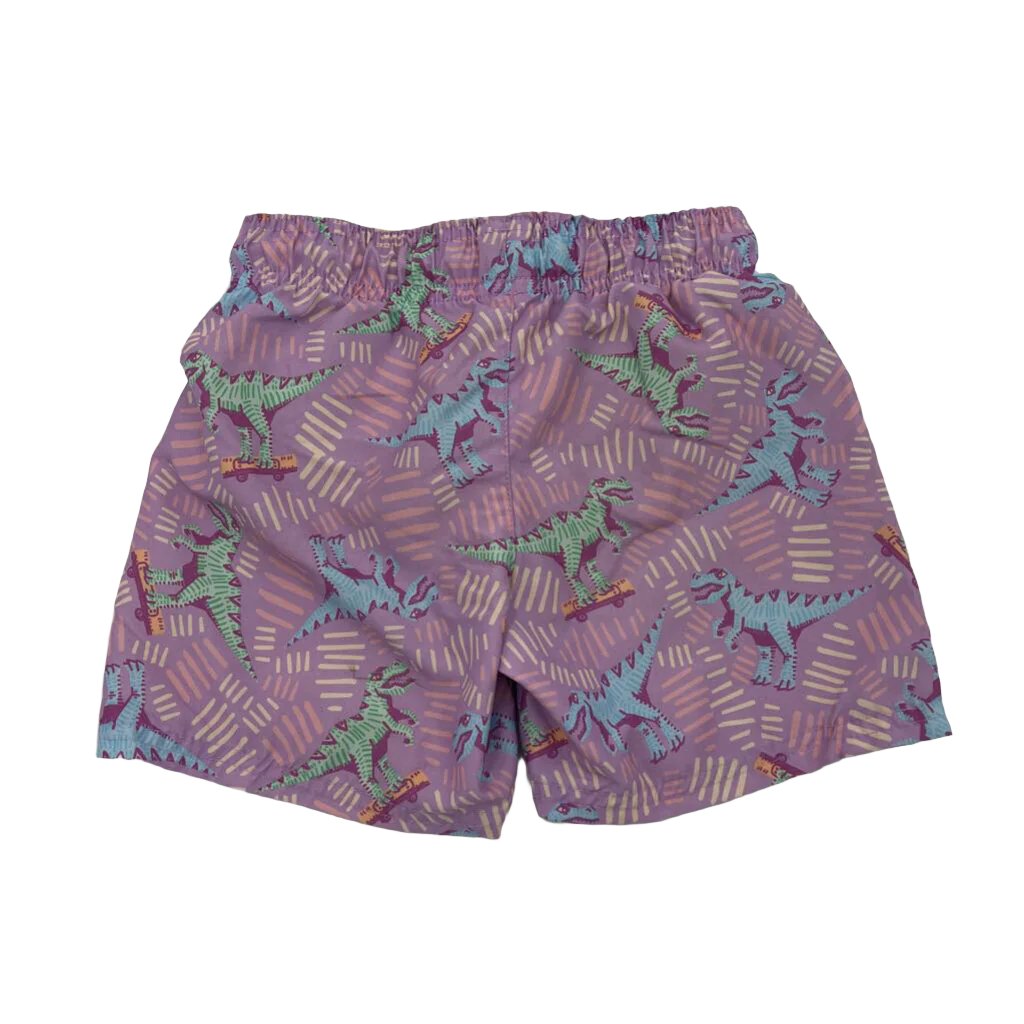 Dino Swim Trunks