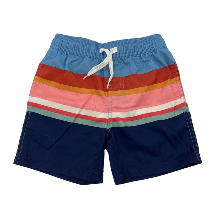 Swim Trunks / Striped