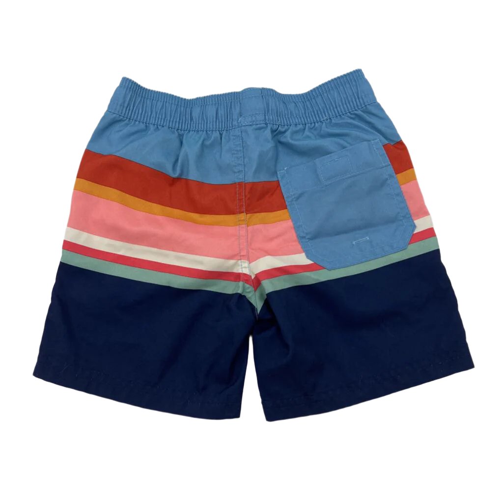 Swim Trunks / Striped