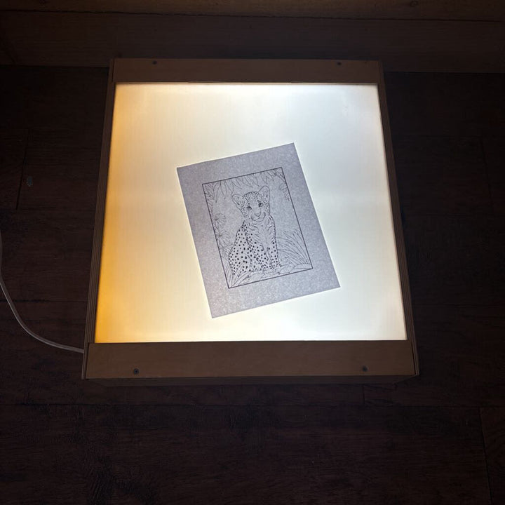 Light Box