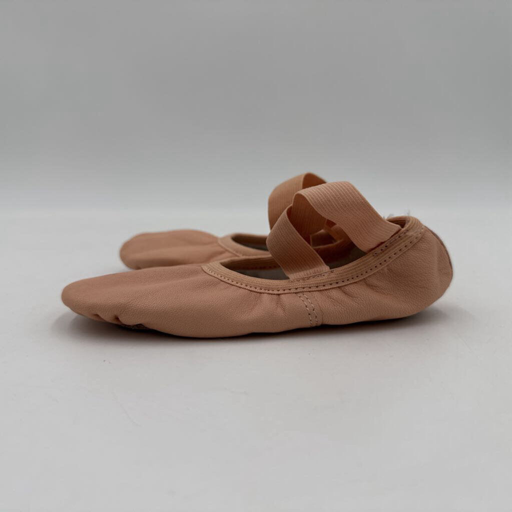 Ballet Shoes