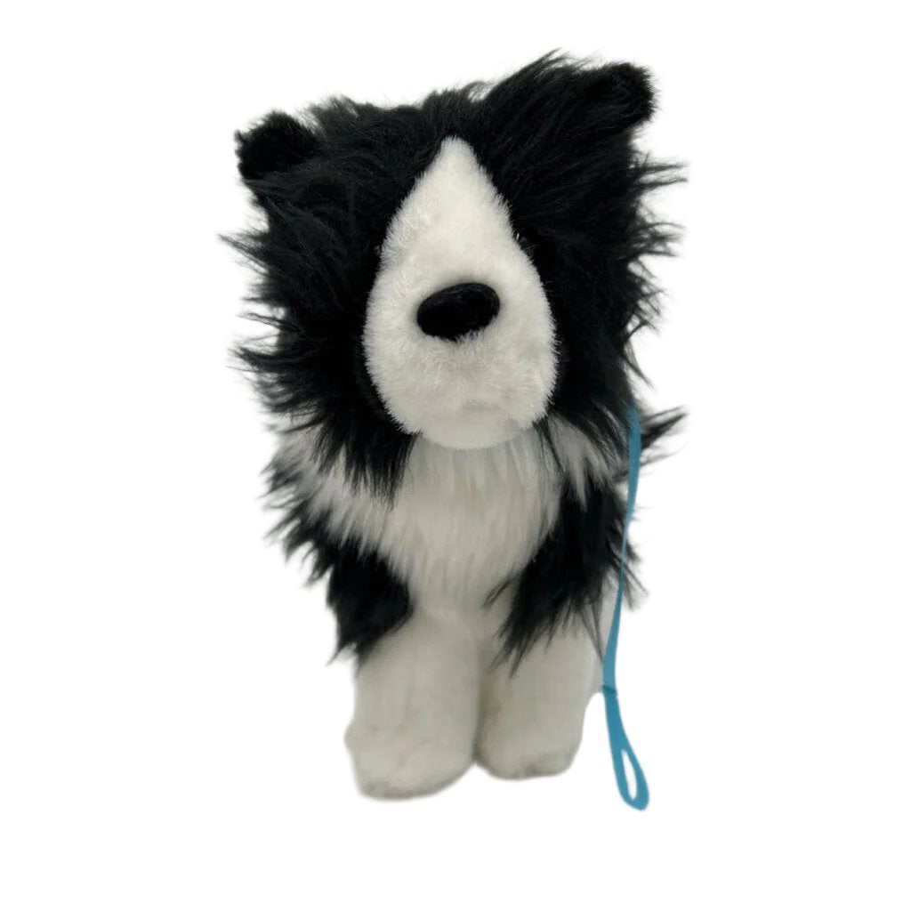 Saige Rembrandt Border Dog