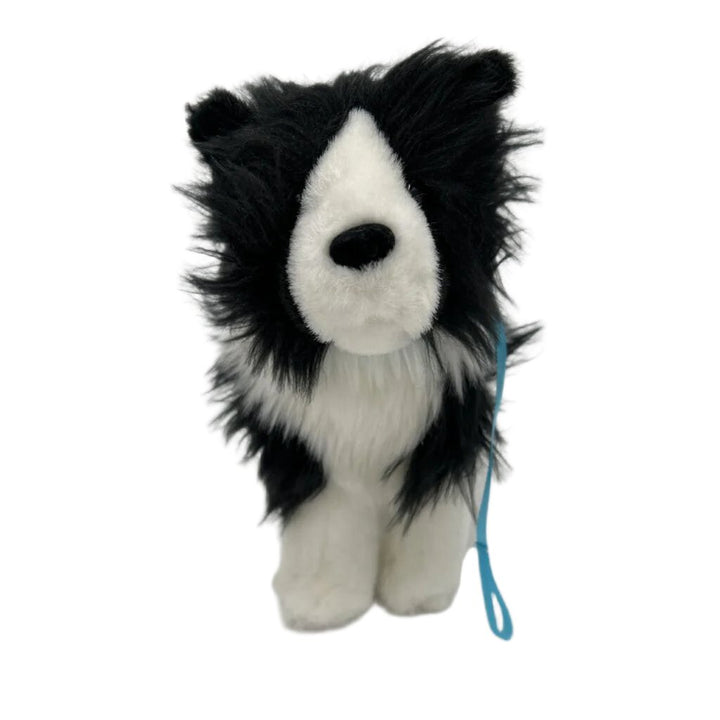 Saige Rembrandt Border Dog