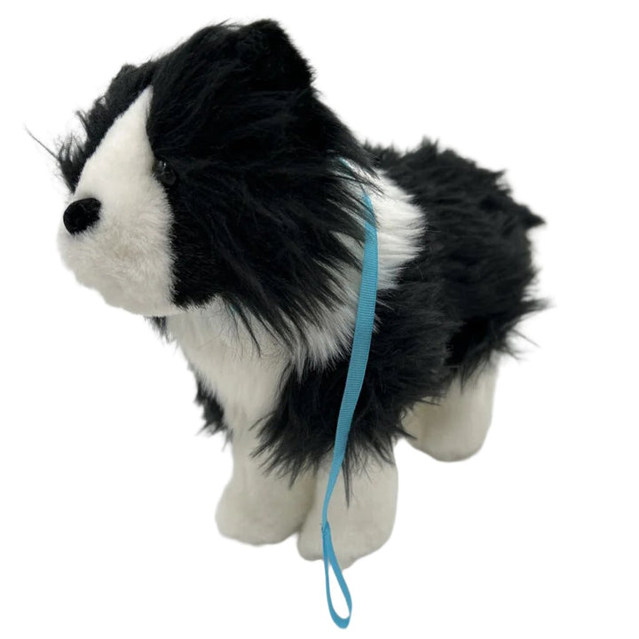 Saige Rembrandt Border Dog
