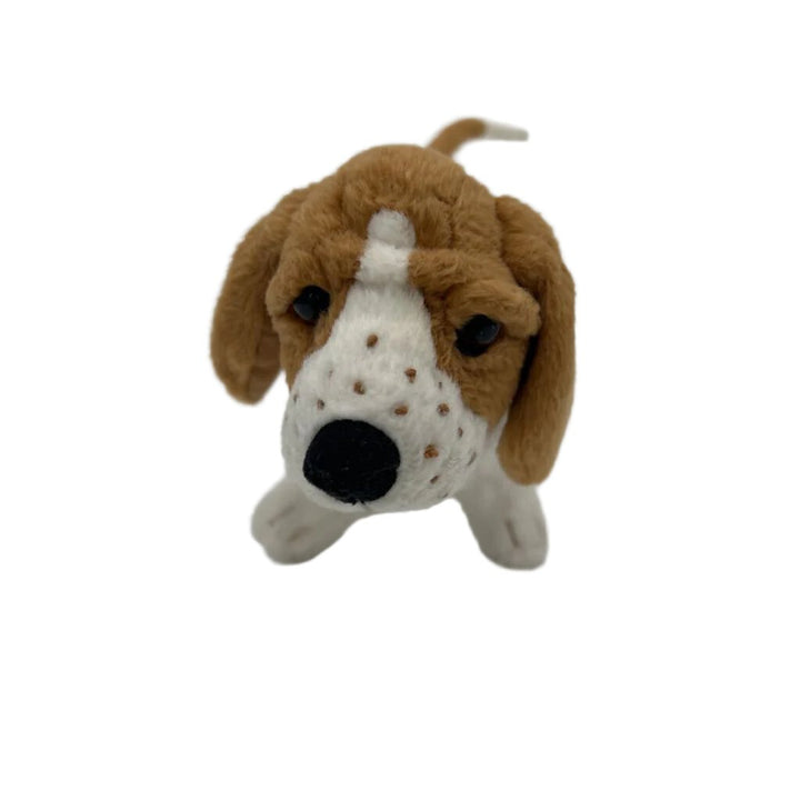 Kit's Dog Grace Bassethound