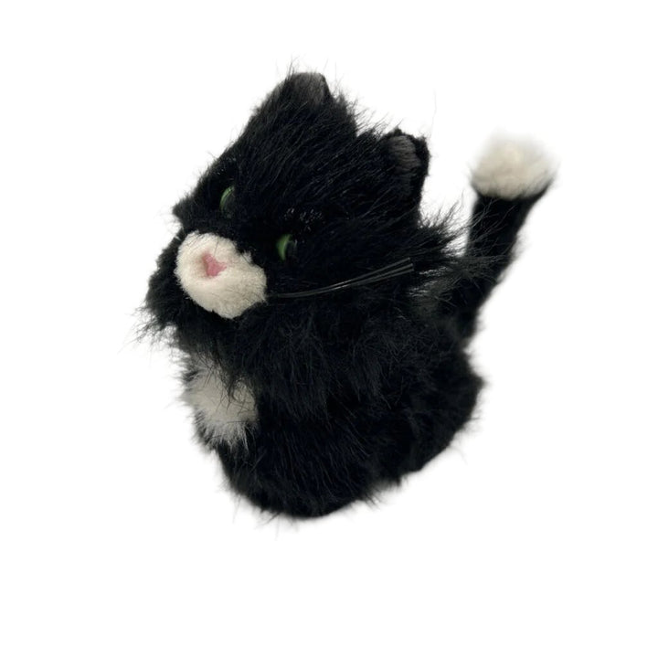 Licorice The Cat