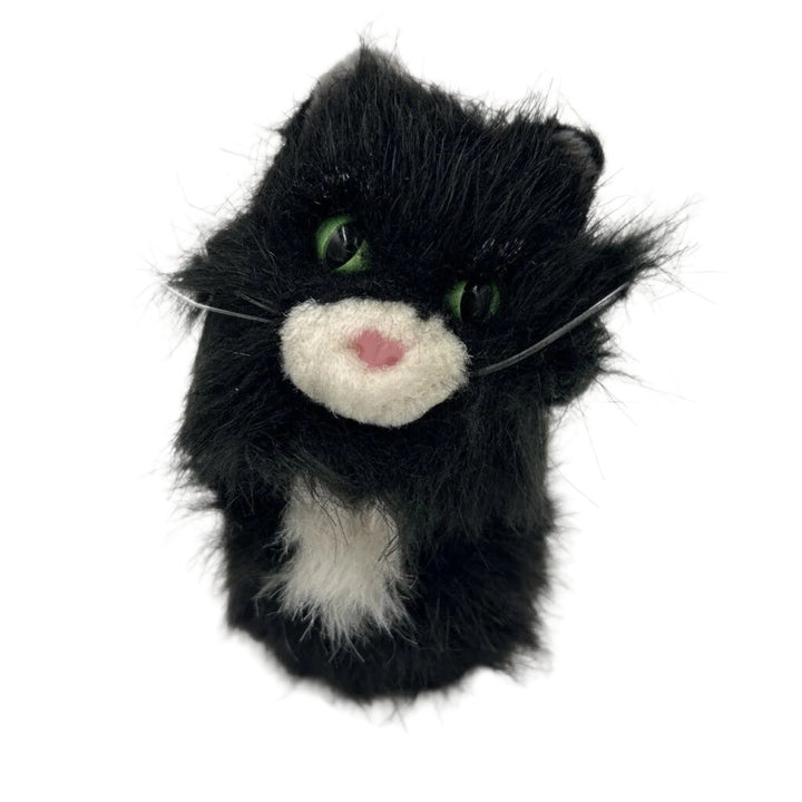 Licorice The Cat