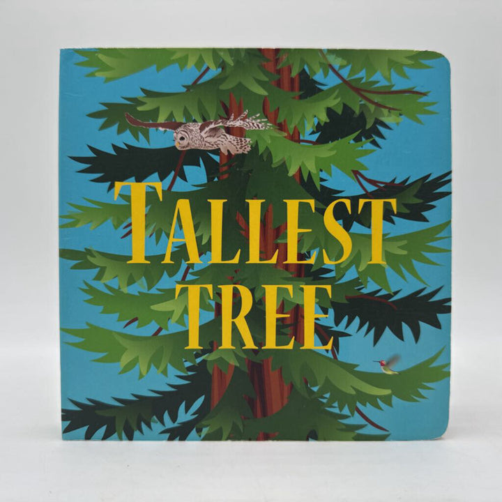 Tallest Tree