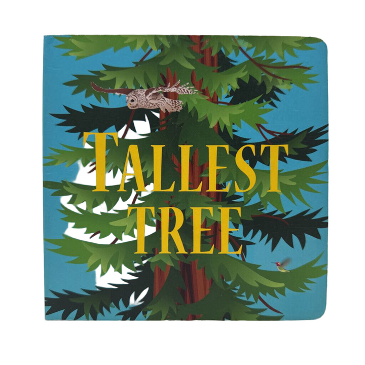 Tallest Tree