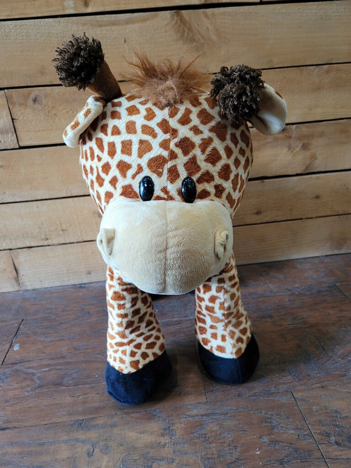Ride on Giraffe