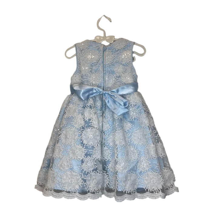 Blue Dress/Sparkle White Flowers