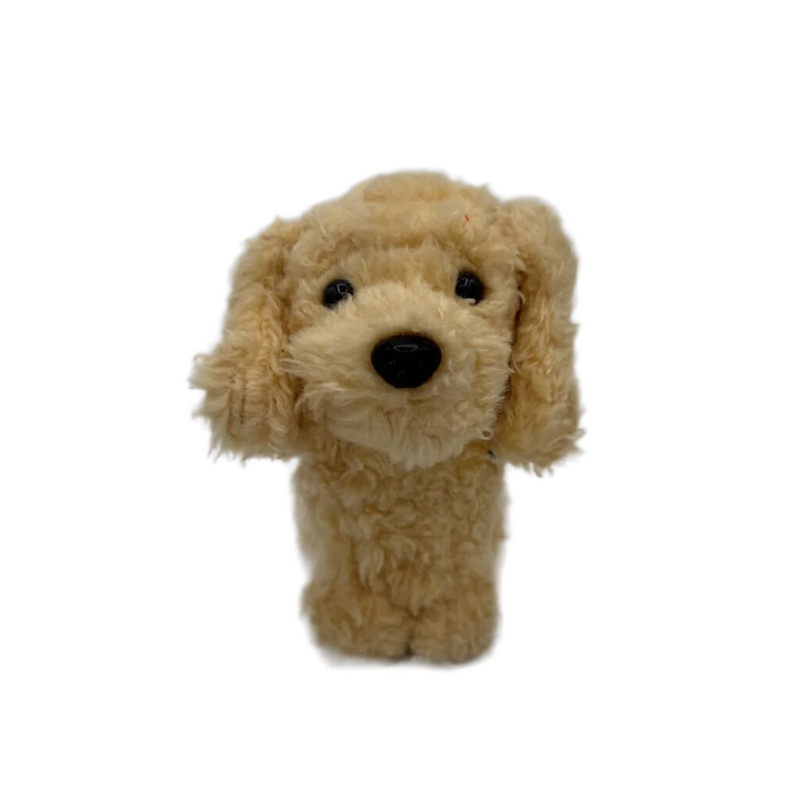 Honey The Pup Pet Golden Retriever