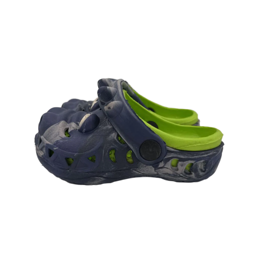 Slip On Water Shoes/Dinosaur