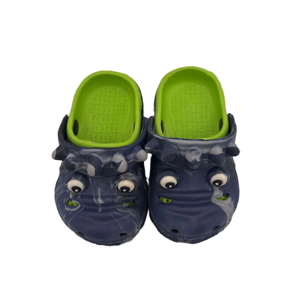 Slip On Water Shoes/Dinosaur
