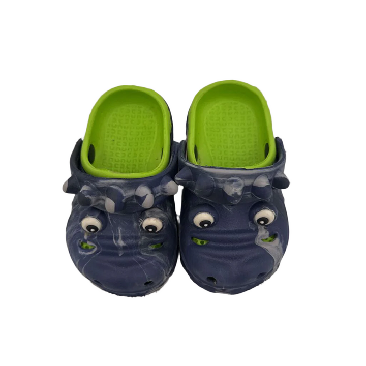 Slip On Water Shoes/Dinosaur