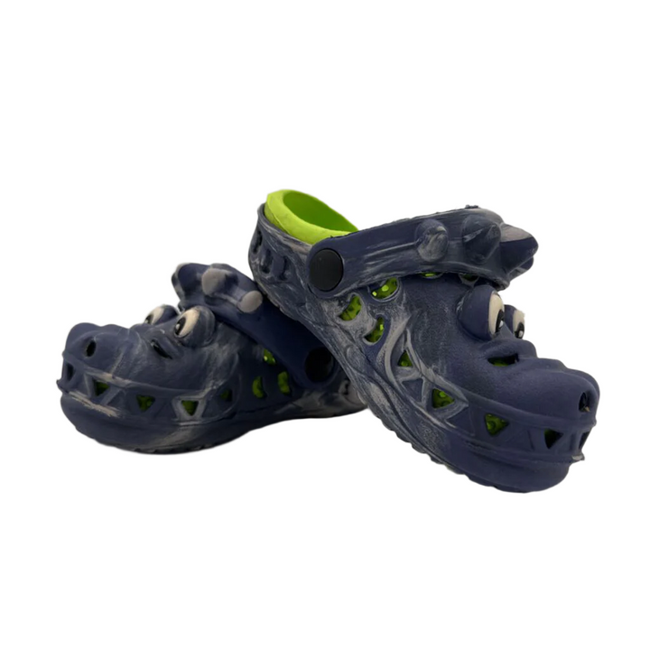 Slip On Water Shoes/Dinosaur