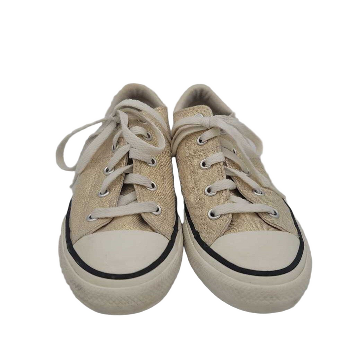 Lace Up Glittery Sneakers