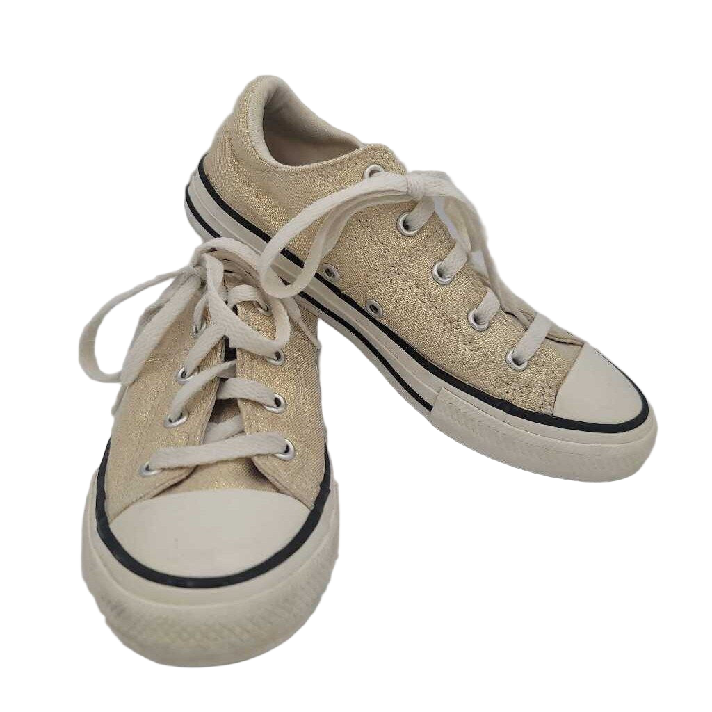 Lace Up Glittery Sneakers