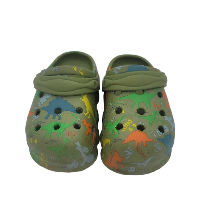 Slip On Water Shoes / Dinosaurs