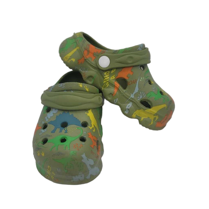 Slip On Water Shoes / Dinosaurs