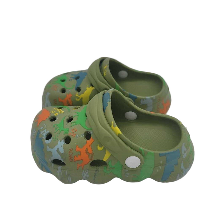 Slip On Water Shoes / Dinosaurs
