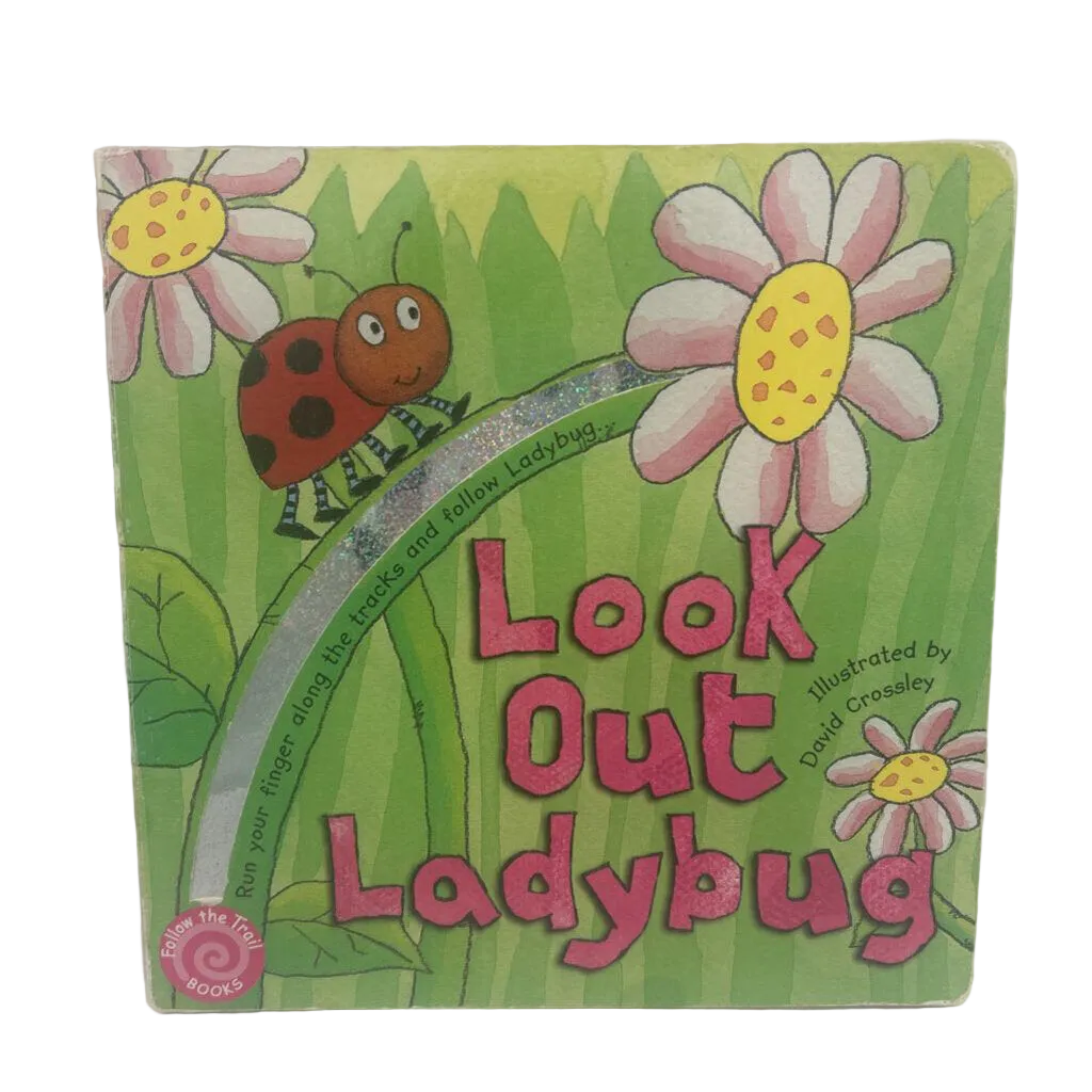 Look Out Ladybug