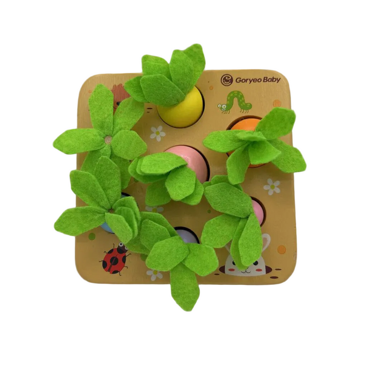 Sorting & Matching Carrot Harvest Puzzle