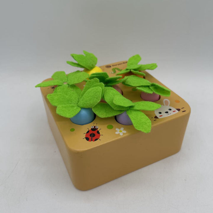 Sorting & Matching Carrot Harvest Puzzle