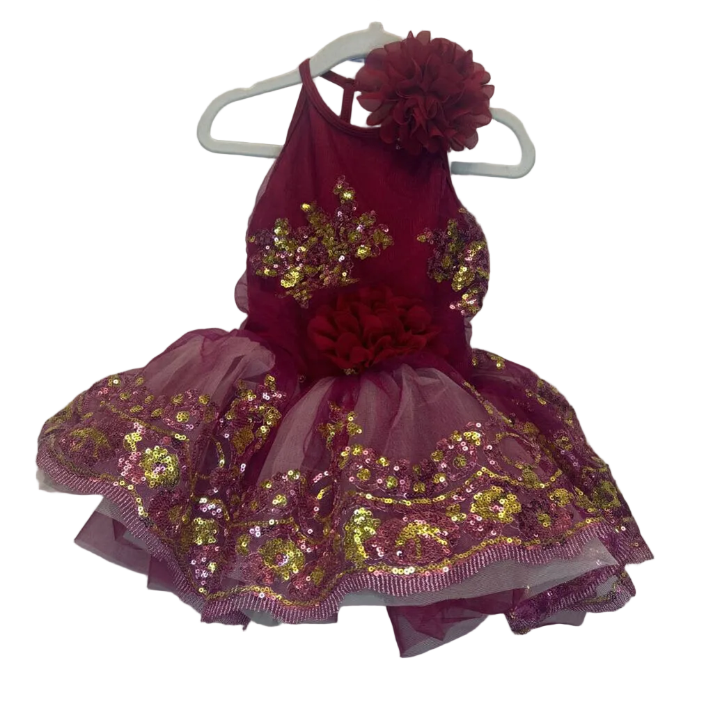Dance Recital Dress with Tutu