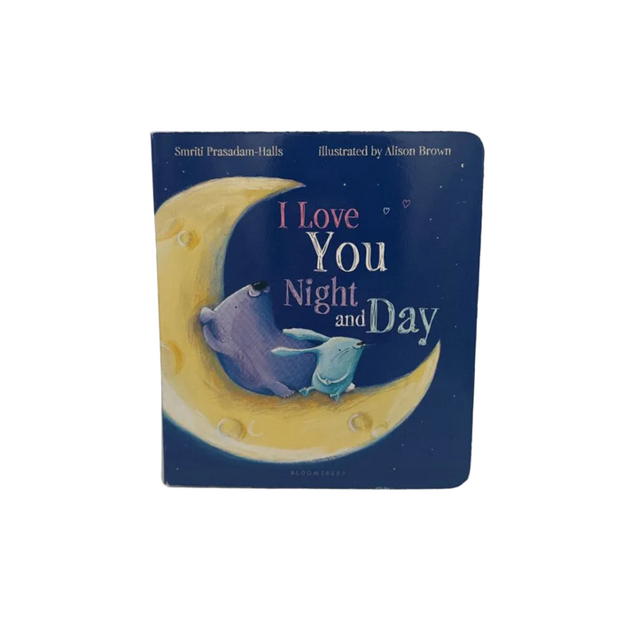I Love You Night And Day