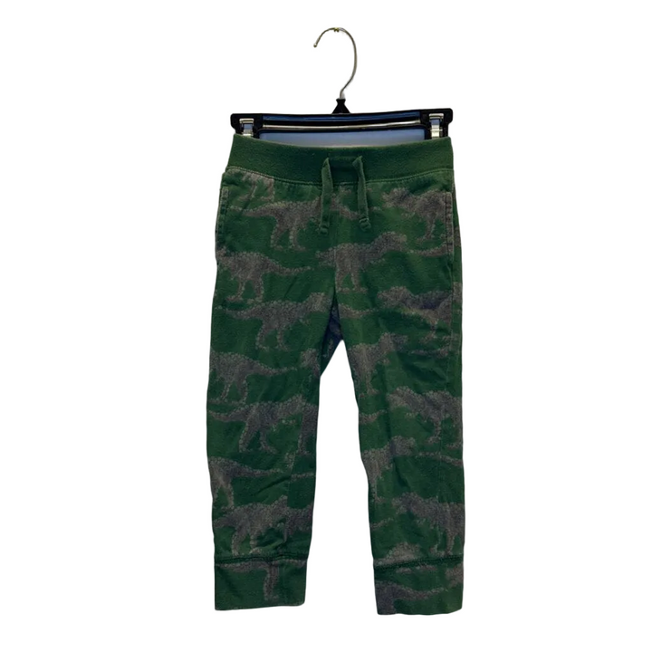 Lounge Pants / Dinosaurs