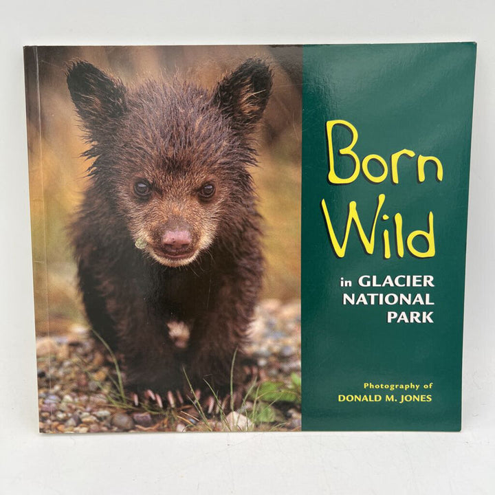 Born Wild in Glacier National Park