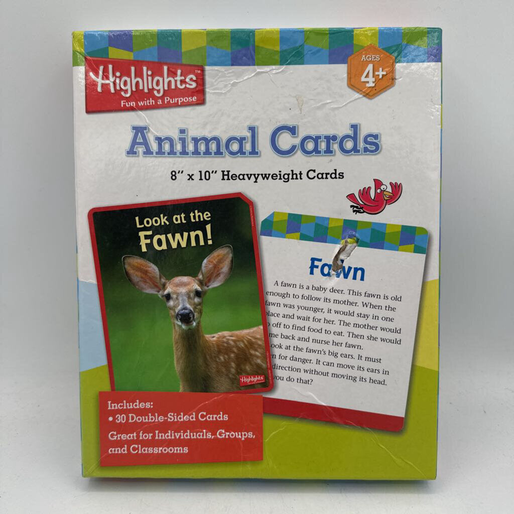 Animal Cards