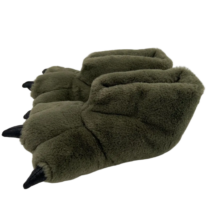 Dinosaur Slippers