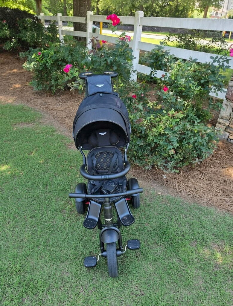 Trike Centennial 6-in-1 Convertible Stroller
