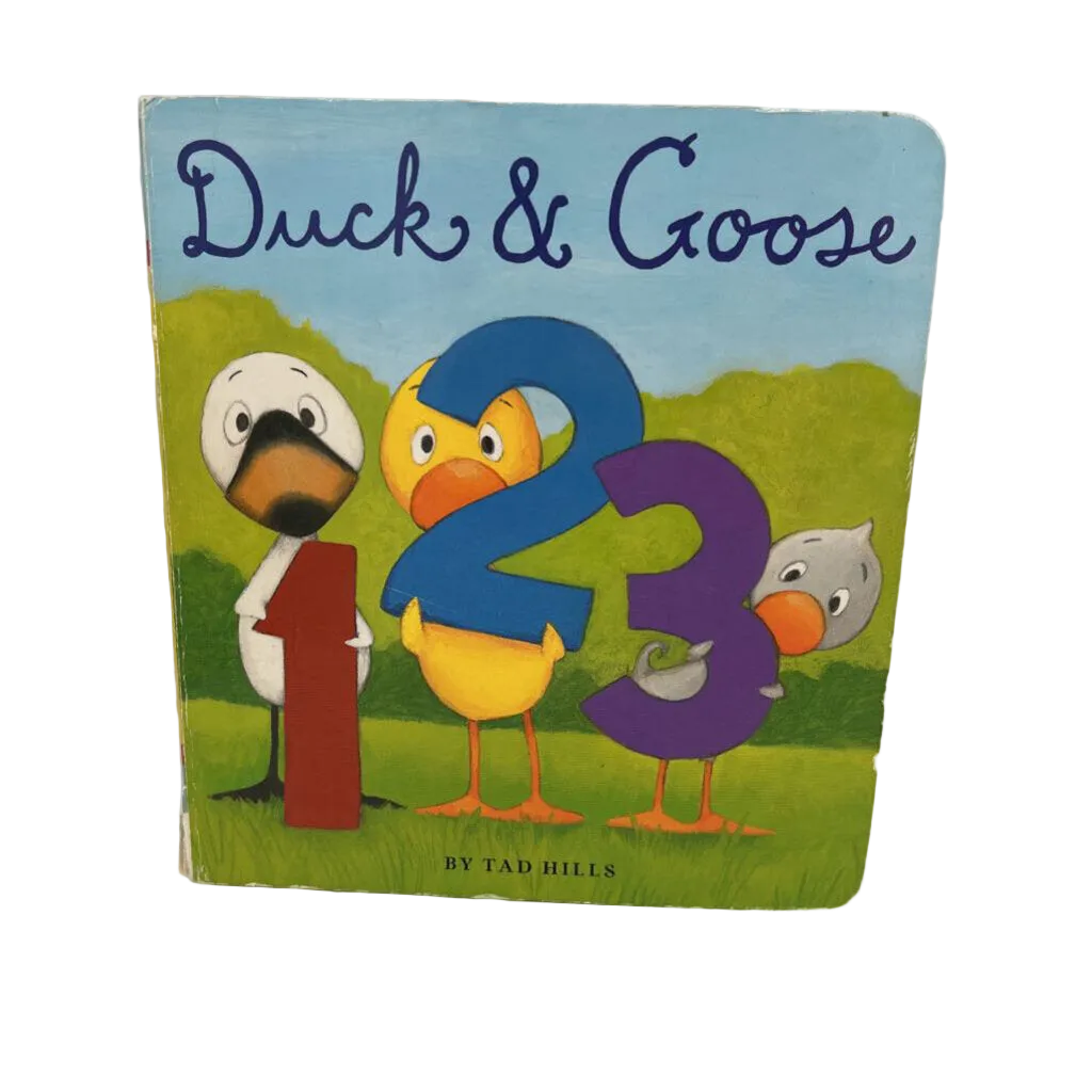 Ducks & Goose 123