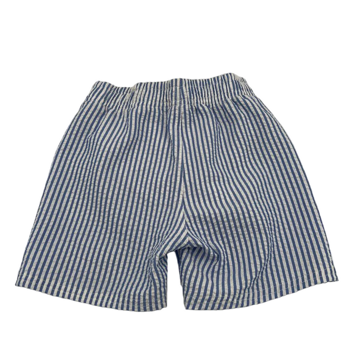 Elastic Waist Swim Trunks