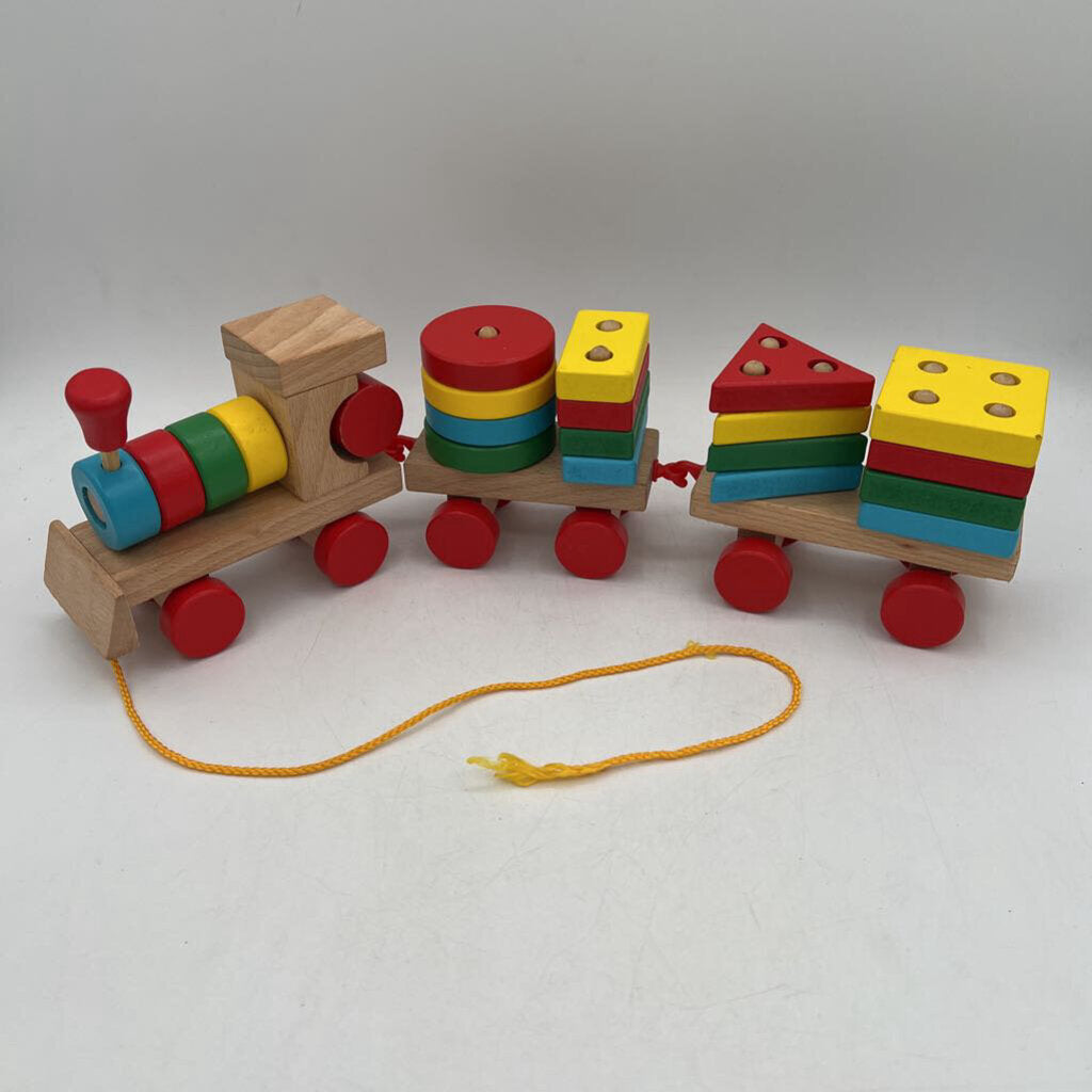Wooden Train / Montessori Smart Sorter