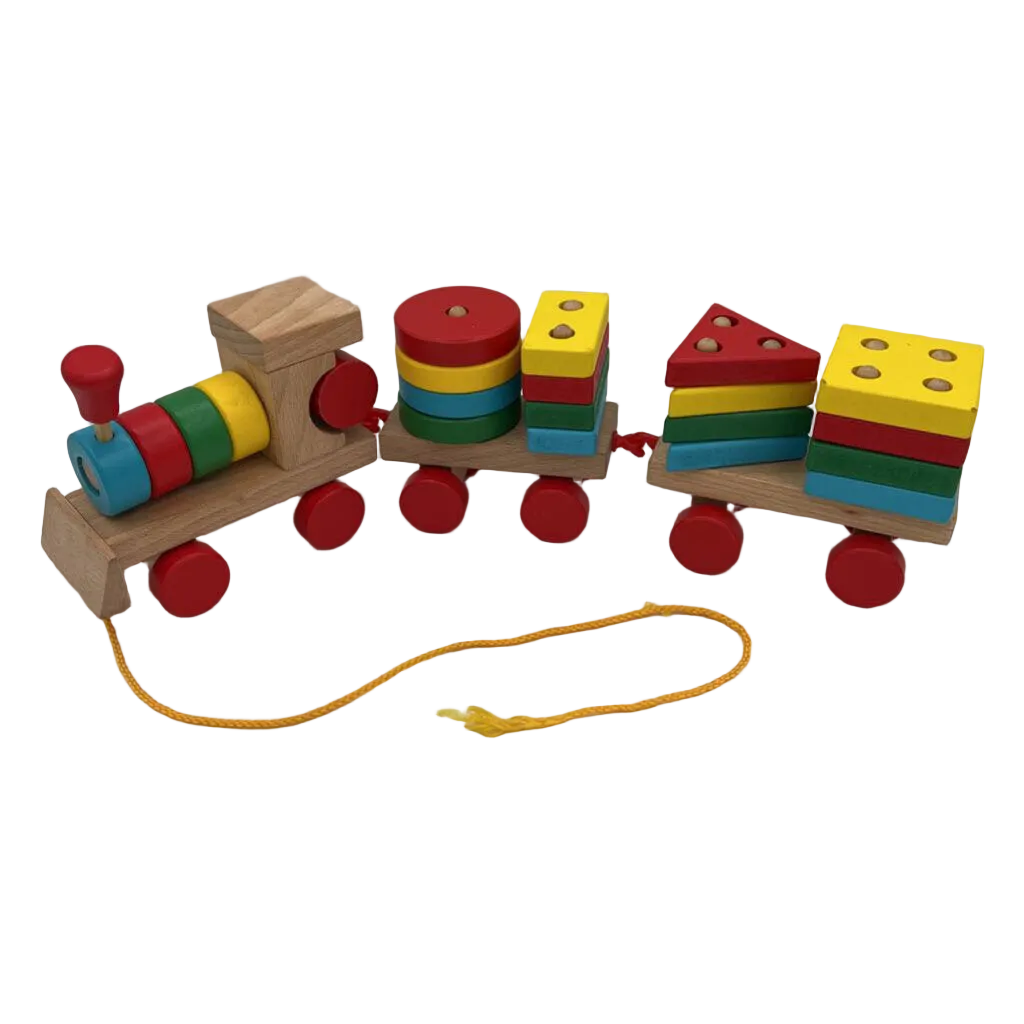 Wooden Train / Montessori Smart Sorter