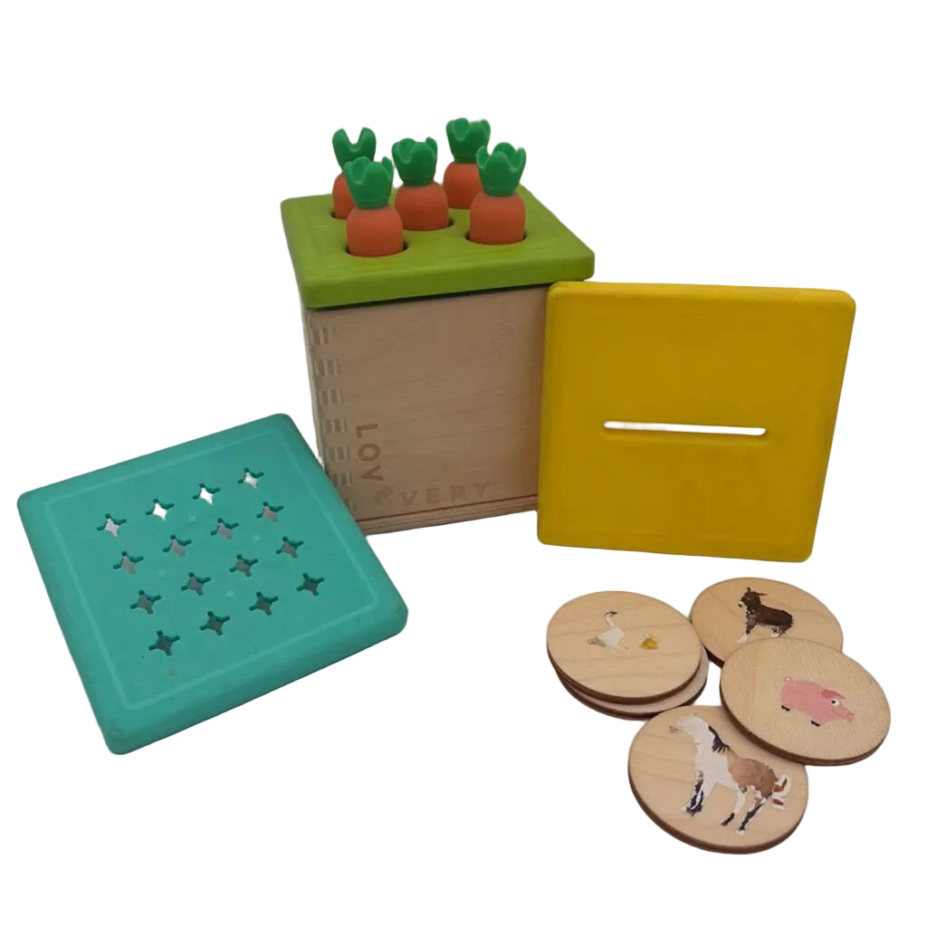 Wooden Coin Bank/ Carrots
