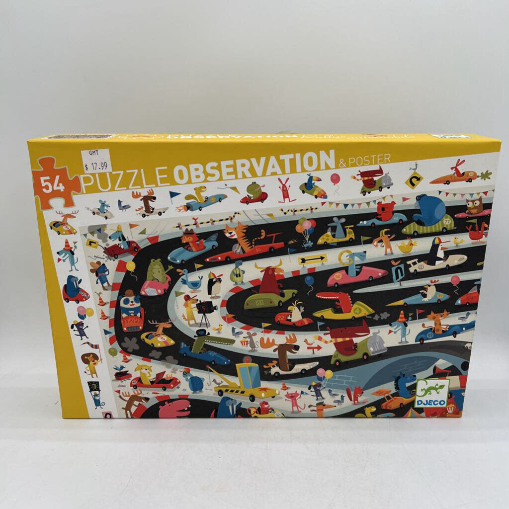 Puzzle Observation