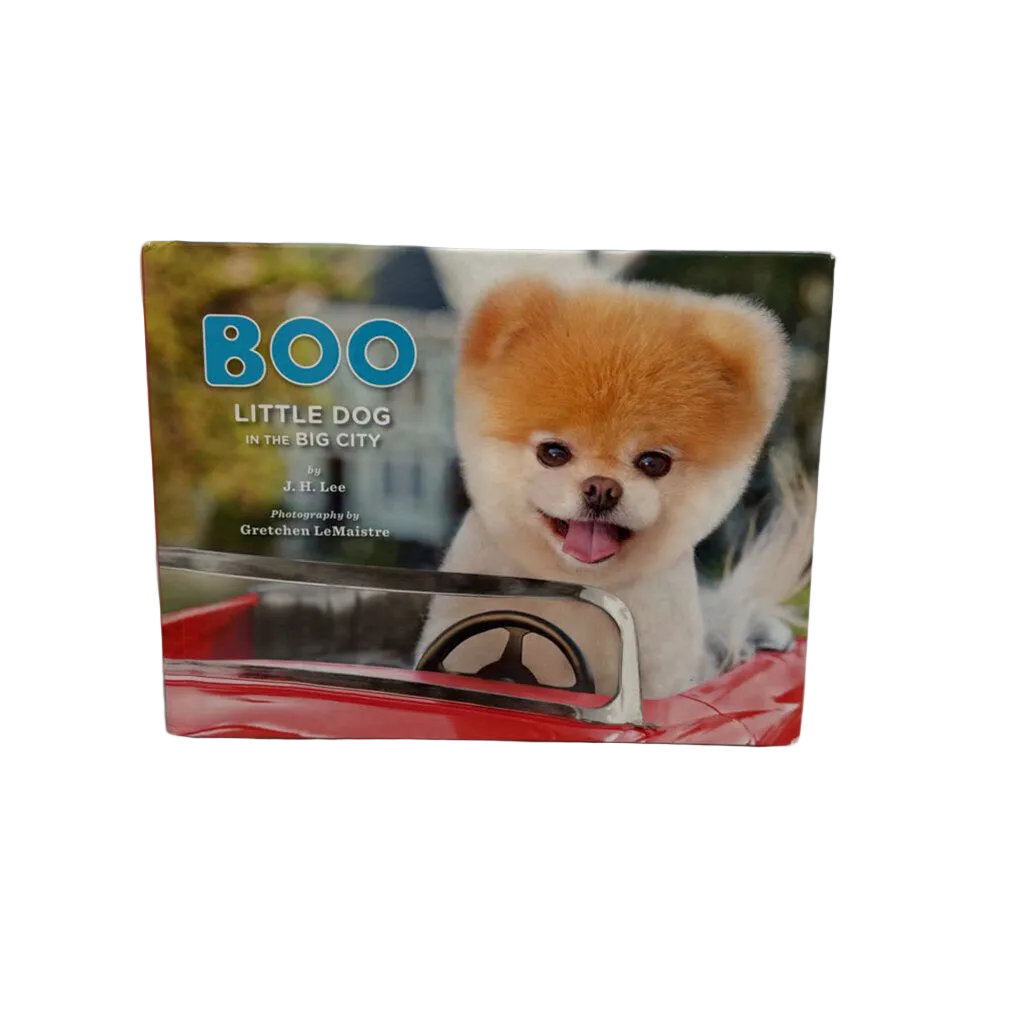 Boo Little Dog In The Big City