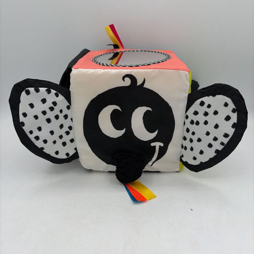 Wimmer-Ferguson Learning Cube