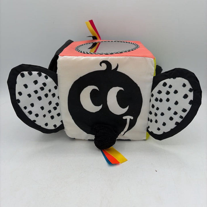Wimmer-Ferguson Learning Cube