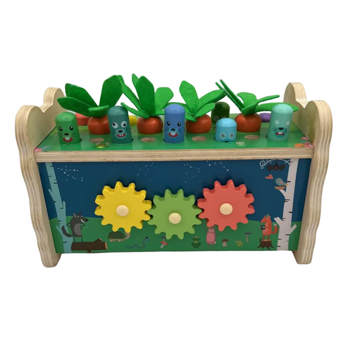 6-in-1 Wood Toy/Missing Mallets