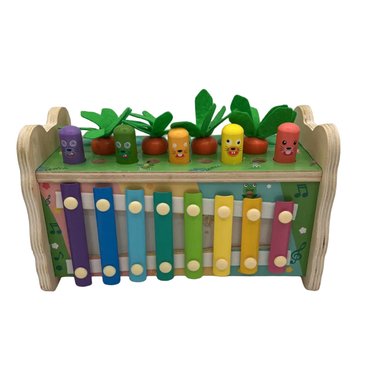 6-in-1 Wood Toy/Missing Mallets