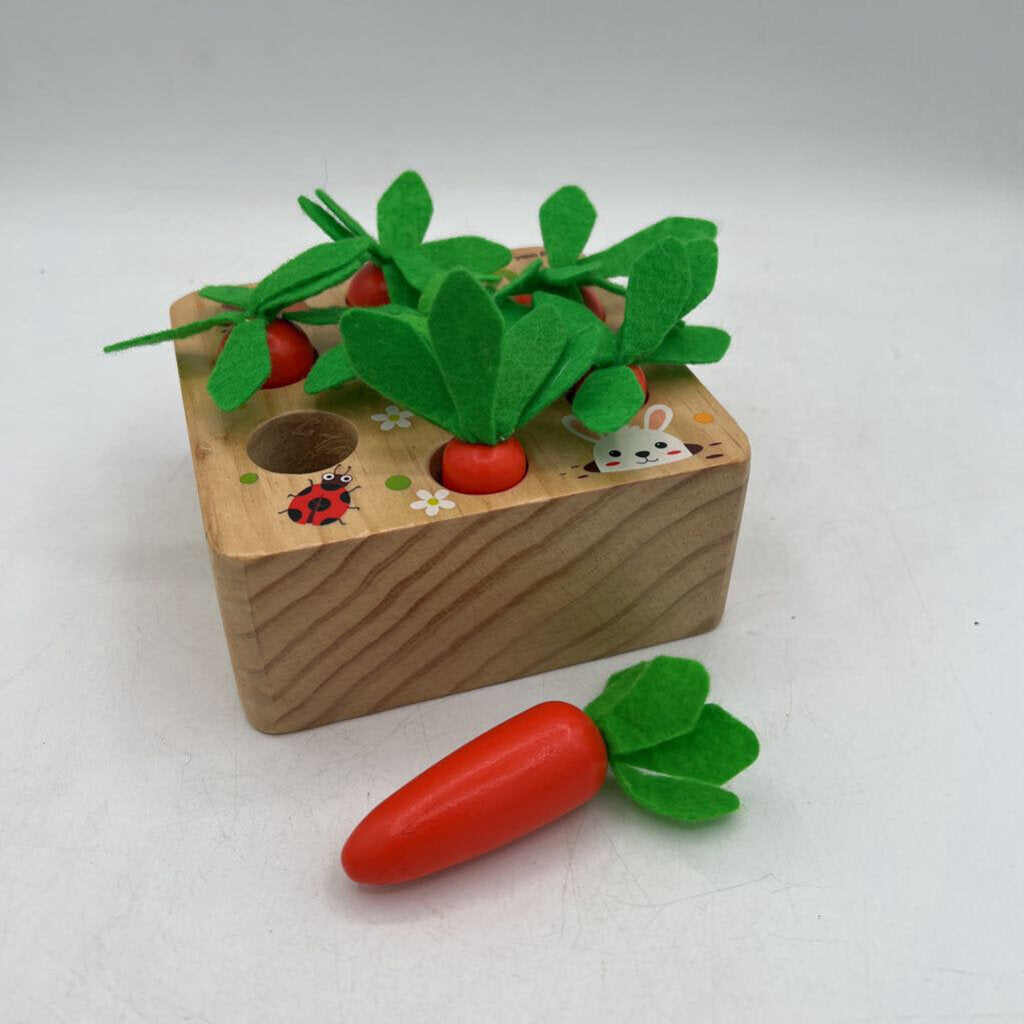 Wood Carrot Sorting Toy